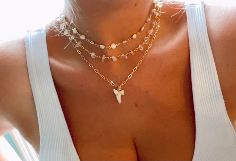 14K Gold Filled Authentic Sharks Tooth Necklace / White Shark Tooth / Mako Shark tooth necklace / paperclip chain shark tooth necklace 