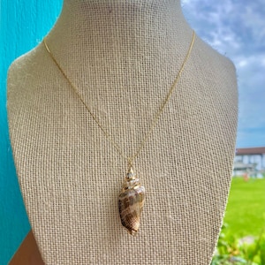18K Gold Plated Sea Shell Necklace