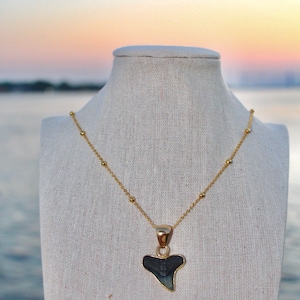 Gold Filled Soldered Shark Tooth Necklace