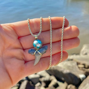 Gold Filled Prehistoric Shark Tooth Necklace