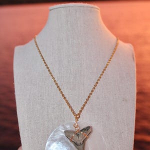 Collana con conchiglia Capiz x dente di squalo in oro