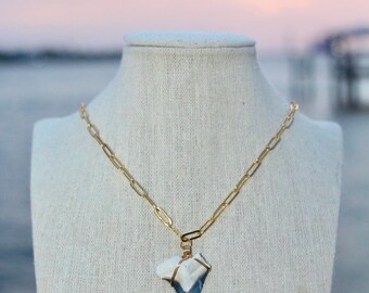 Gold Bone Valley Snaggle Shark Tooth Necklace