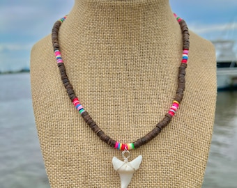 2-1/8 インチ 化石メガロドン サメの歯 20 インチ ネックレス ブルー