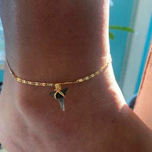 Gold Stainless Steel Mako Sharks Tooth Anklet