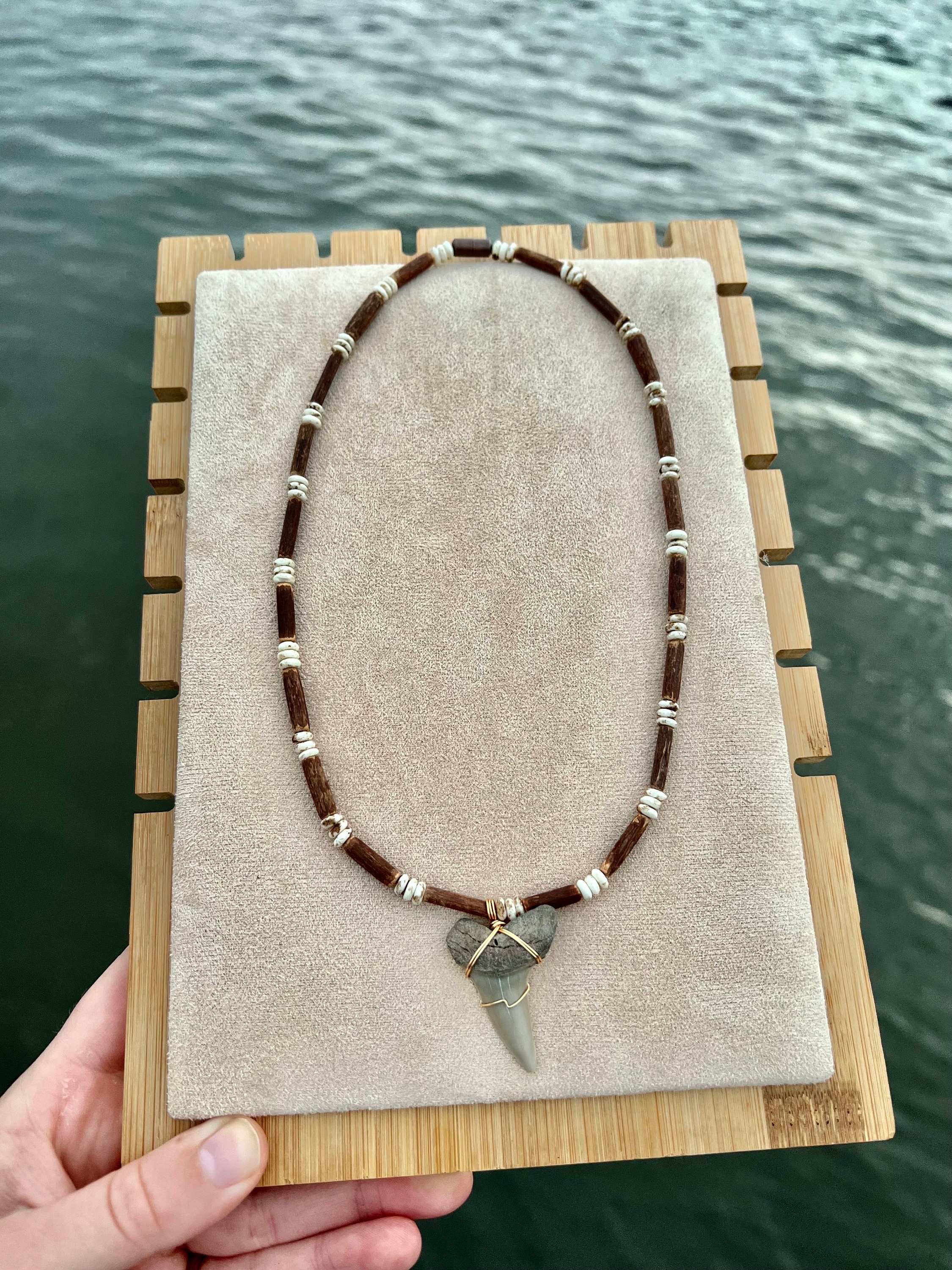 Shark Tooth Necklace – Alki Surf Shop