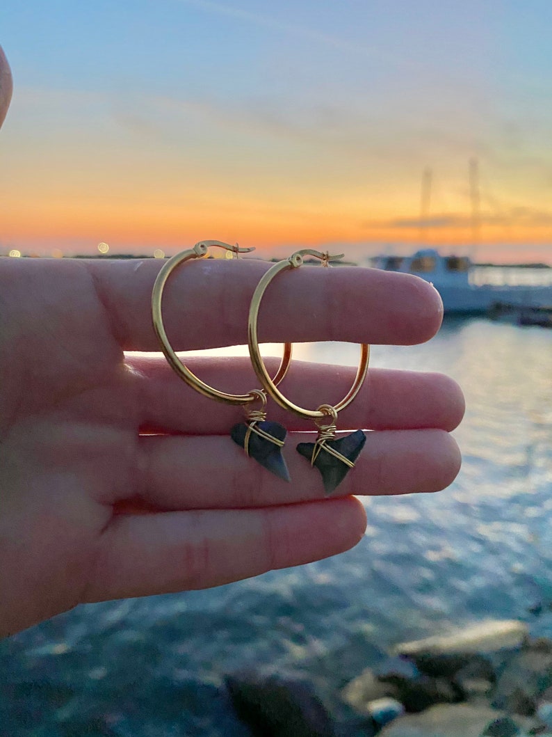 Shark Tooth Hoops