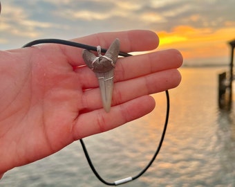 Leather Prehistoric Shark Tooth Necklace