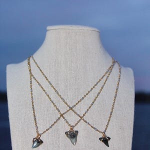 Collana in acciaio inossidabile con dente di squalo in oro e argento