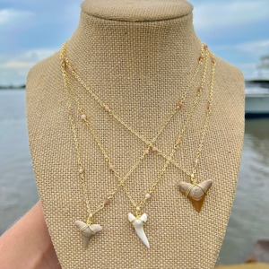 18K Gold Plated Rose Quartz Gemstone x Shark Tooth Necklace