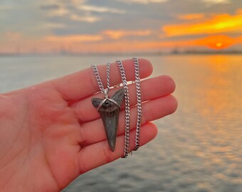 White Gold Filled Prehistoric Mako Necklace