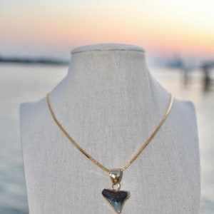 Gold Filled Soldered Shark Tooth Necklace