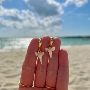 18K Gold White Shark Tooth Huggies