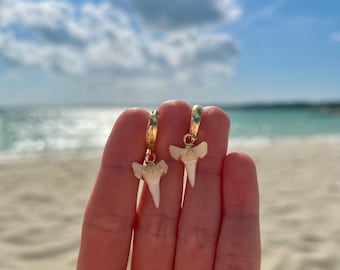 18K Gold White Shark Tooth Huggies