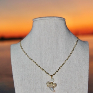 Gold Paperclip Chain & Pearl Shark Tooth Necklace