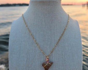 Gold Stainless Steel Shark Tooth Necklace x Pectin Shell