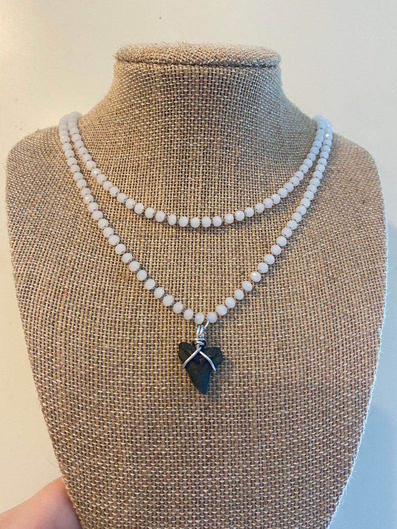Real Authentic Shark Tooth Necklace