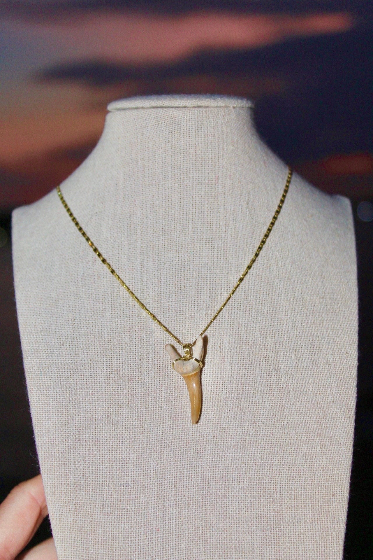 Gold Filled Shark Tooth Necklace