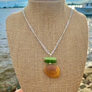 Pu&ograve; includere: Una collana con catena d'argento con un ciondolo a forma di conchiglia. Il ciondolo &egrave; fatto di una conchiglia marrone con due perline di vetro verde impilate sopra.