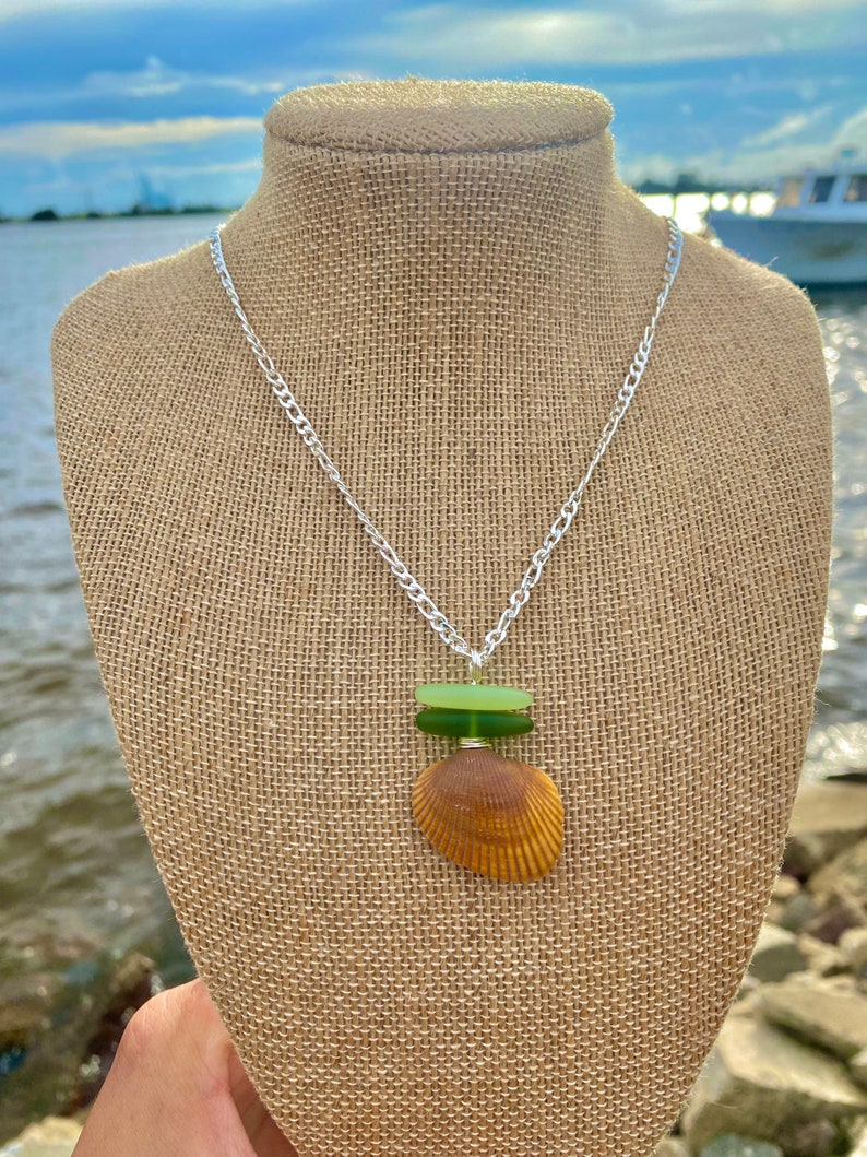 Pu&ograve; includere: Una collana con catena d'argento con un ciondolo a forma di conchiglia. Il ciondolo &egrave; fatto di una conchiglia marrone con due perline di vetro verde impilate sopra.