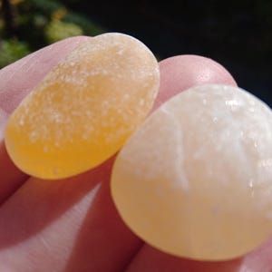 2 perfect semi-transparent yellow sea stones / S255