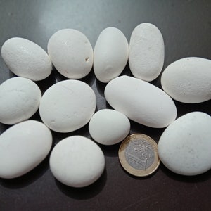 12 pcs white sea stones/ K 66