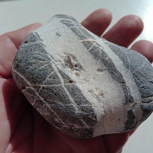 Natural unusual sea stone / K-197