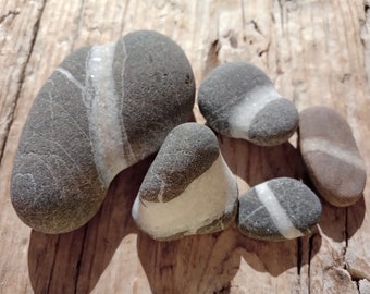 5 pcs striped sea stones/unusual sea stones/Wishing Stones/ K -43