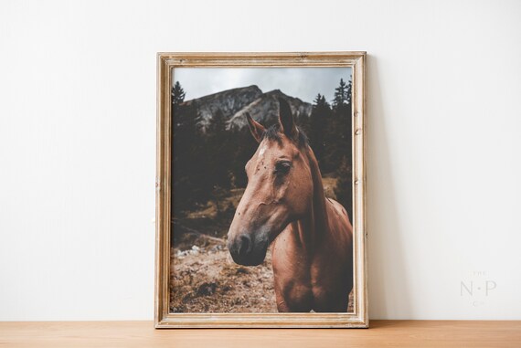Wall Print Equestrian Horse Photography Art Print Poster Scandinavian Boho Decor Living Room Bedroom Decor