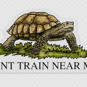 May include: A cartoon illustration of a tortoise walking on green grass with the text "DONT TRAIN NEAR ME" below it.