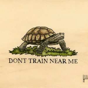 May include: A watercolor illustration of a tortoise walking on green grass with the text "DONT TRAIN NEAR ME".