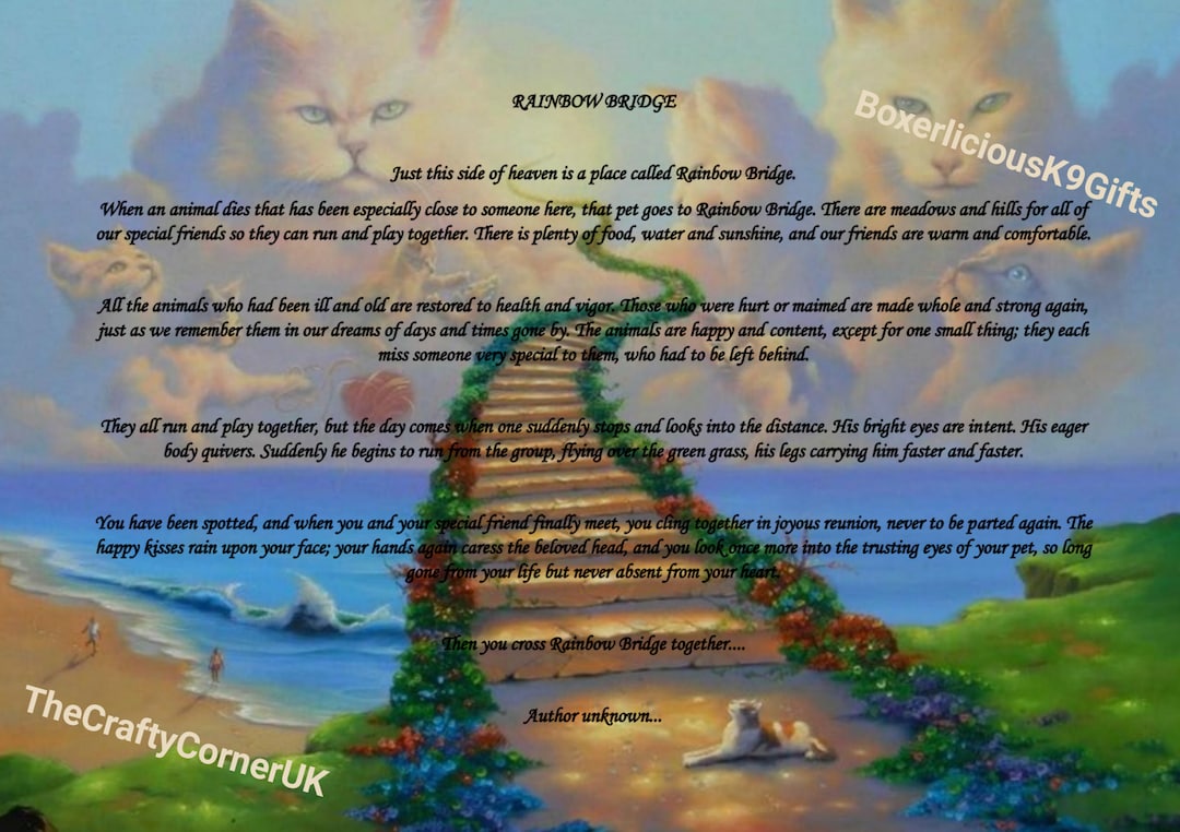 Rainbow Bridge Poem Pet CAT Loss Memorial Bereavement Colour Picture ...