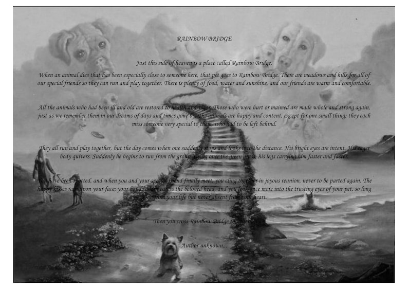 Rainbow Bridge Poem Pet Dog Loss Memorial Bereavement Black White Picture Download Pet Portraits Art Collectibles Vadel Com