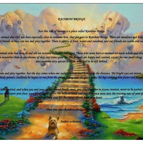 Rainbow Bridge Poem Pet DOG Loss Memorial Bereavement Colour Picture PDF DOWNLOAD