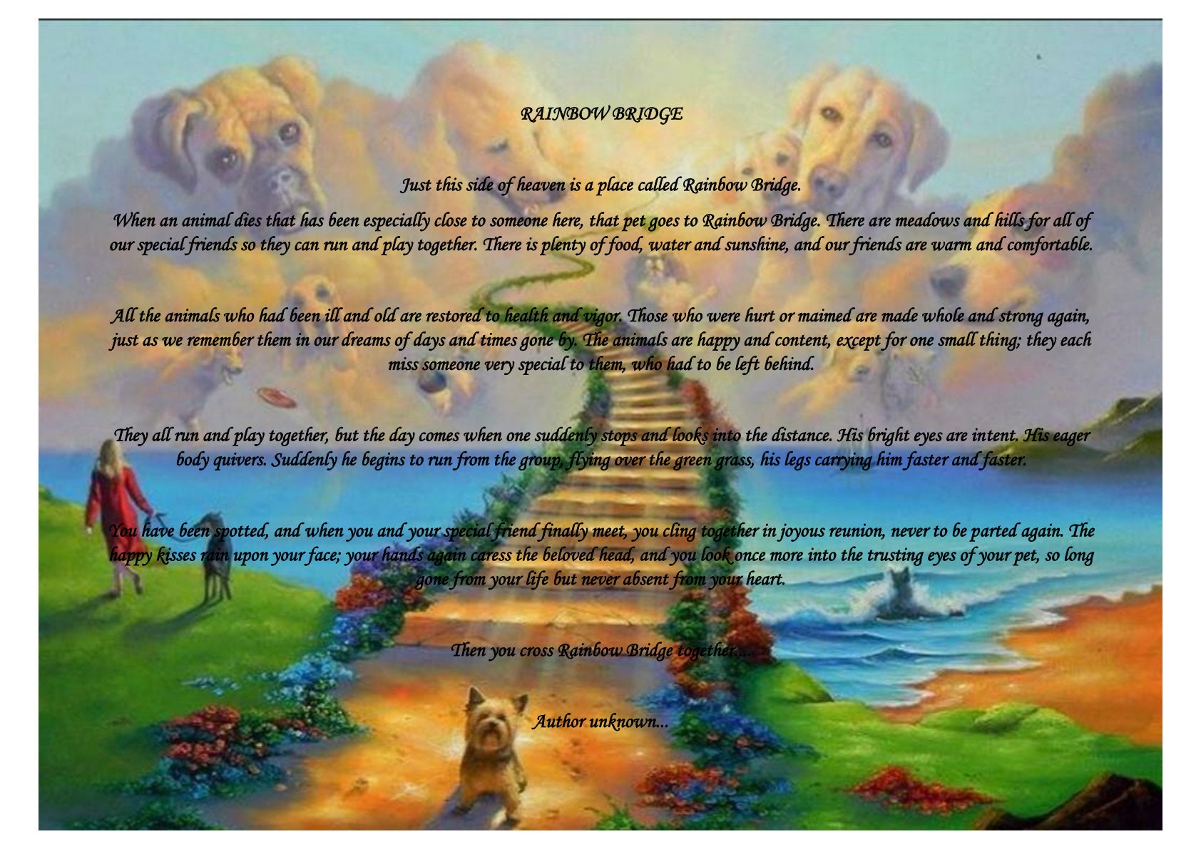 rainbow bridge poem pet dog loss memorial bereavement