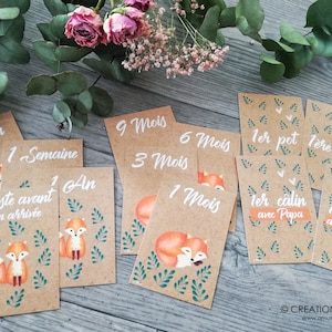 Carte étape collection renard