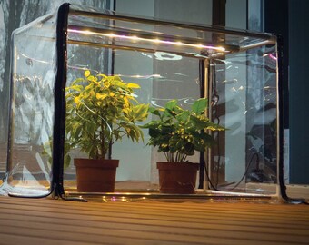 Mini Greenhouse Etsy