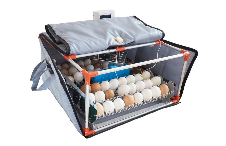 Diy humidifier for egg incubator