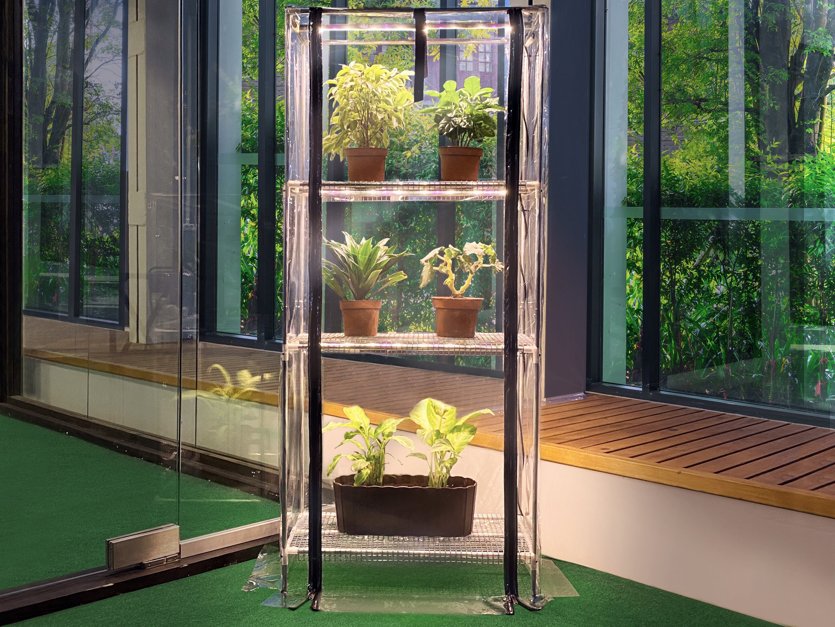 MiniGewächshaus SEZAM XL für Wohnung Balkon Terrasse Etsy.de