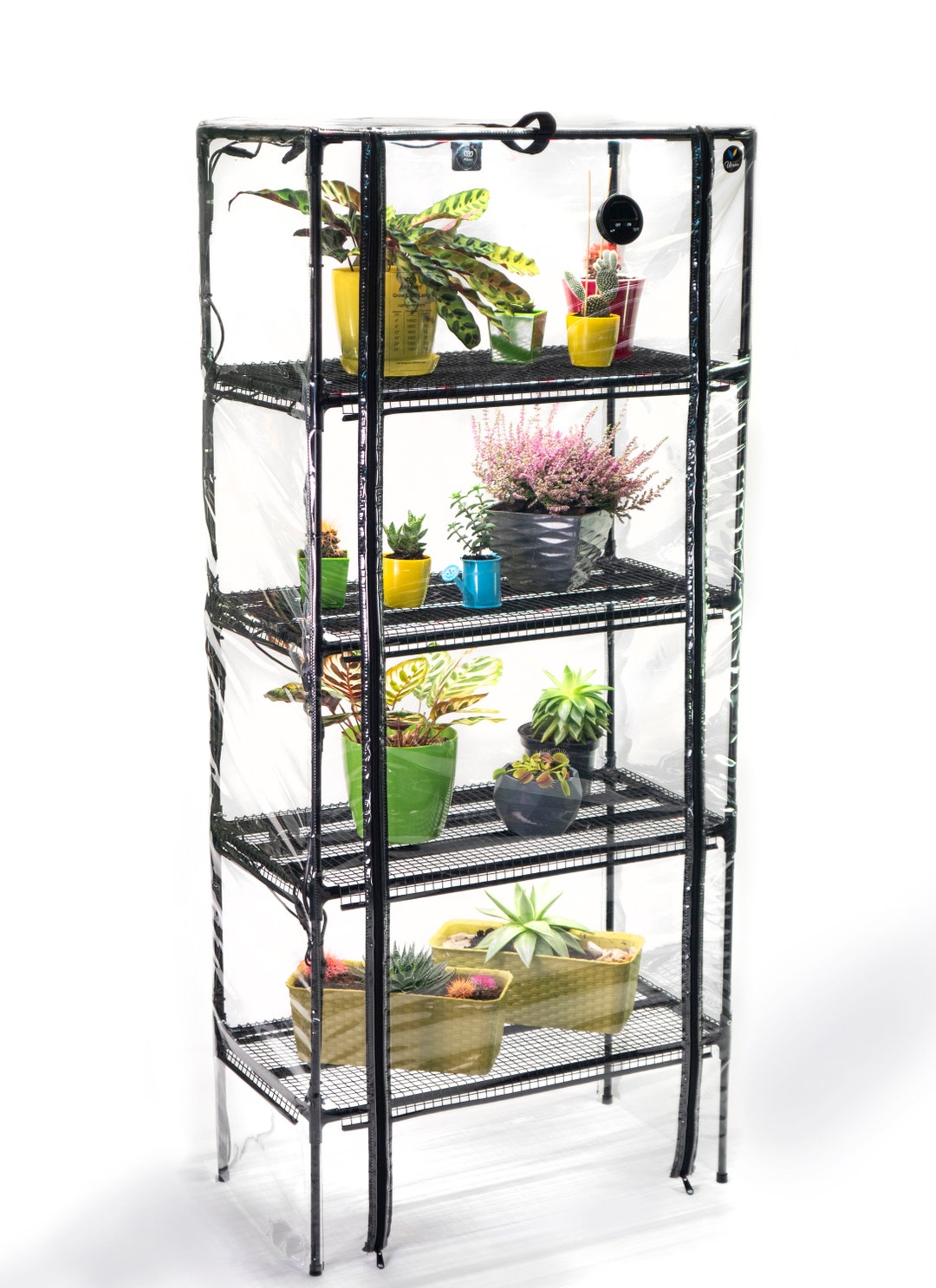 For USA Indoor Grow for Succulent and Cactus Care With Etsy