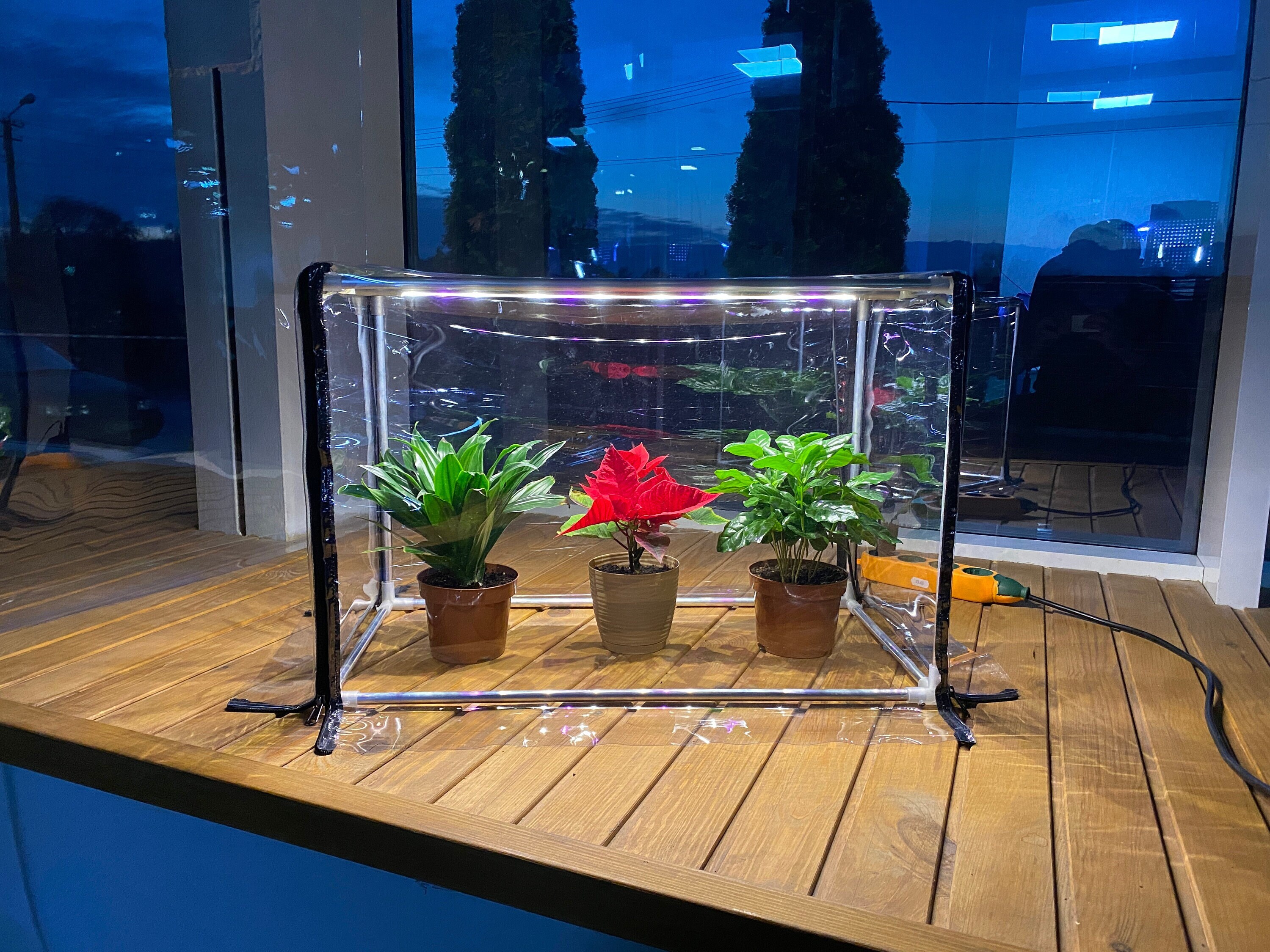 grow lights for mini greenhouse