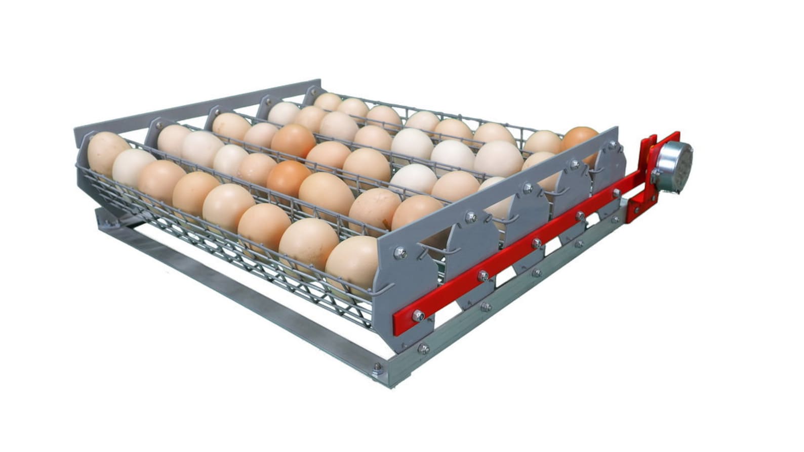 Automatic Egg incubator Zoom 180 eggs humidifier backup Etsy