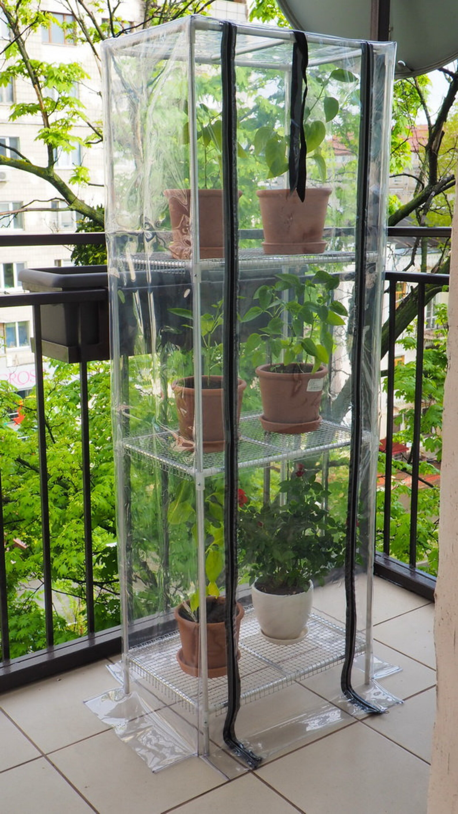 Minigreenhouse SEZAM XL for apartment balcony terrace with Etsy