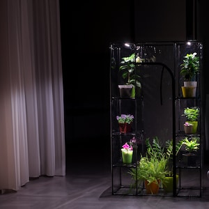 Puede incluir: Un invernadero interior de metal negro con una cubierta de plástico transparente y una luz en el interior. El invernadero tiene varios estantes con plantas en macetas, incluyendo helechos, orquídeas y otras plantas verdes.
