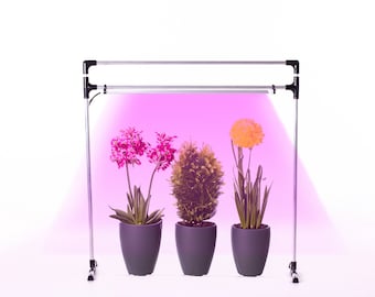 LED lamp for plants DUO Bicolor on the windowsill. LED Phyto lamp for indoor plants, seedlings, flowers, orchids, microgreens.
