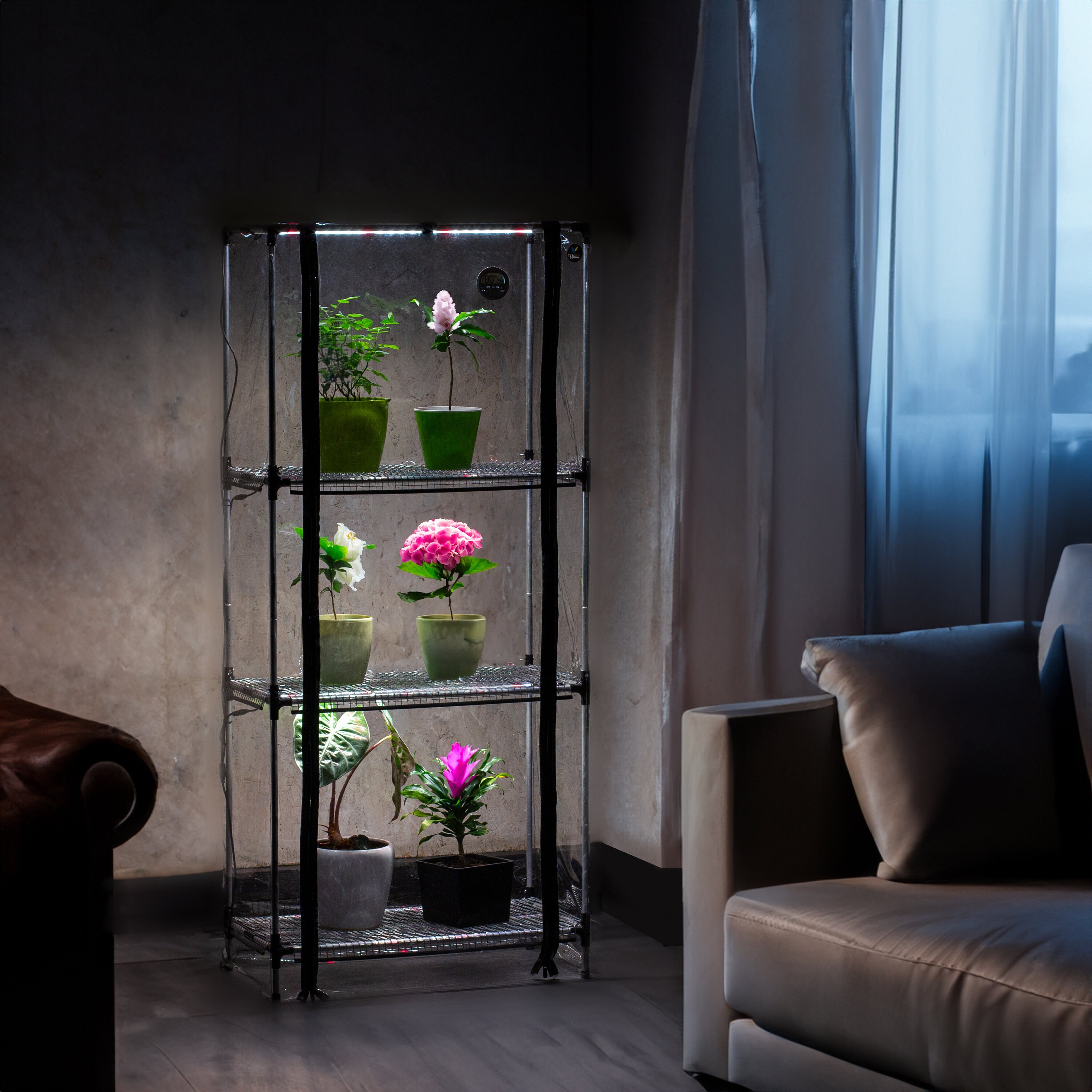 Come Coltivare Le Piante Con Poca Luce In Casa - 12