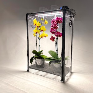 Puede incluir: Un sistema de cultivo de plantas cerrado y transparente con un marco negro, que alberga dos orquídeas en macetas. Una orquídea tiene flores amarillas vibrantes, la otra tiene flores de color magenta intenso. El sistema incluye un estante, iluminación LED y una cubierta de plástico transparente.
