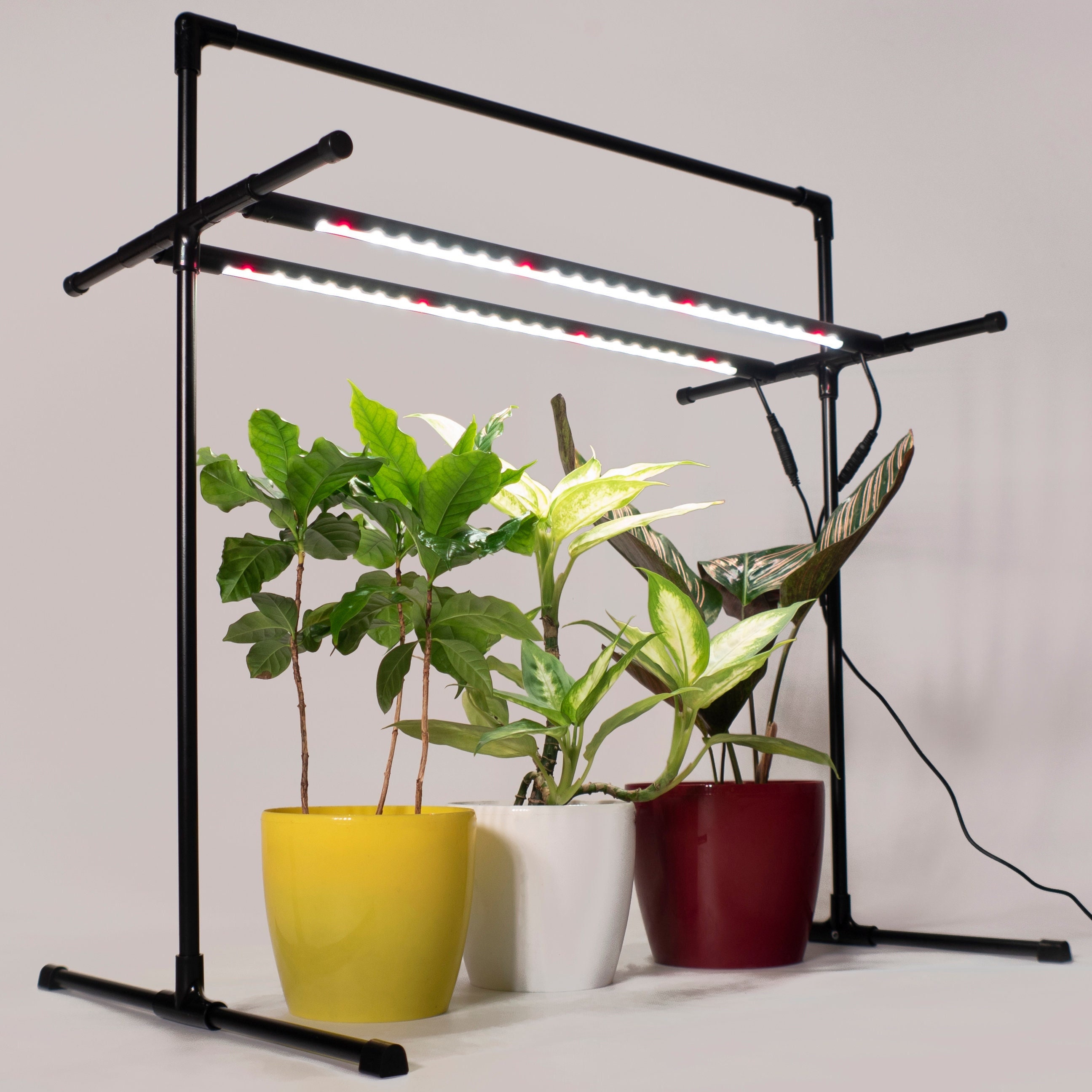 afrikansk kopi indlæg For Europe & Canada Grow Light Kit Metaflex Twilight With - Etsy