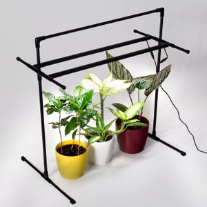 May include: Black metal plant stand with three plants in pots. The plants are a white and green plant, a green plant with dark green leaves, and a green plant with light green leaves. The stand has two levels and is designed for indoor use.