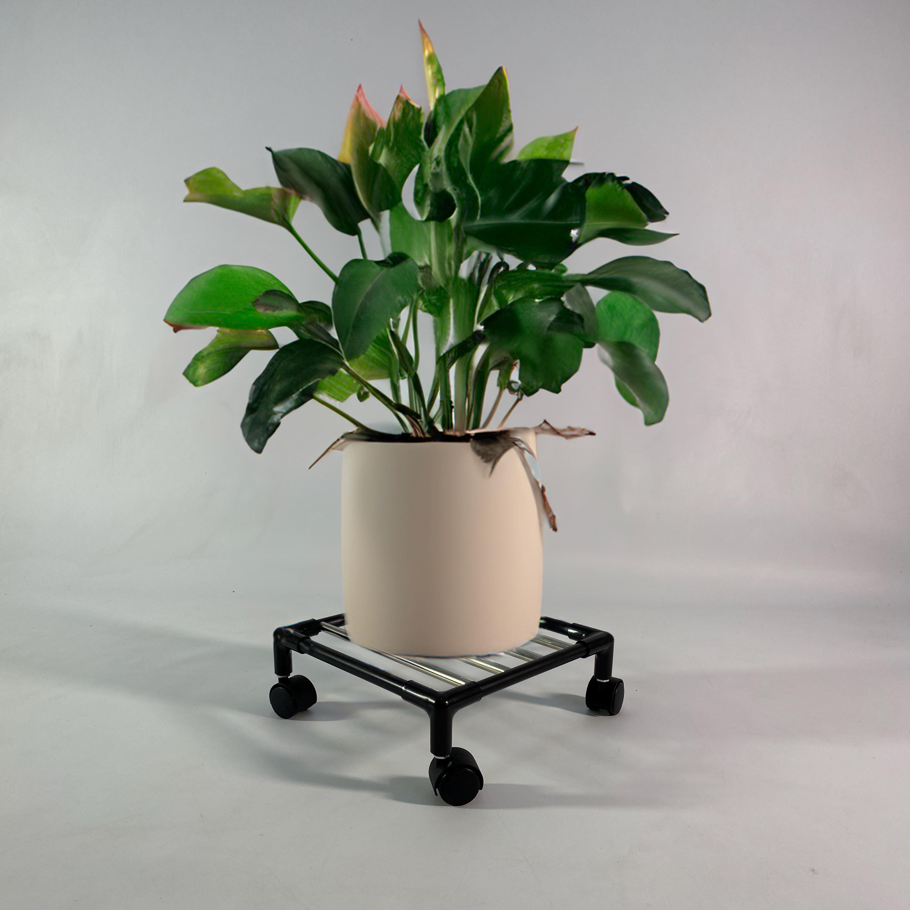 NOENNULL Pflanzenständer Mit Rollen – Verstellbarer Blumentopfhalter Aus Kunststoff, Drehbar, Für Topf & Gasflasche, Weiß Verstellbarer Pflanzensockel