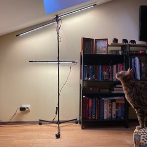 Könnte beinhalten: Ein schwarzer verstellbarer Stativständer mit zwei langen LED-Lichtleisten, die darauf montiert sind. Der Ständer steht in einem Raum mit einem Bücherregal und einer Katze.